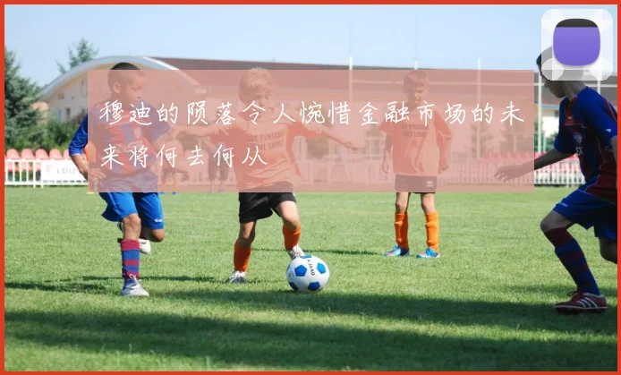 穆迪的陨落令人惋惜金融市场的未来将何去何从