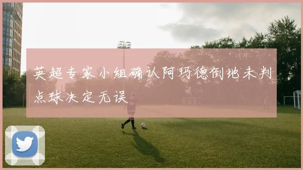 英超专家小组确认阿玛德倒地未判点球决定无误